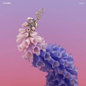 flume_-_skin